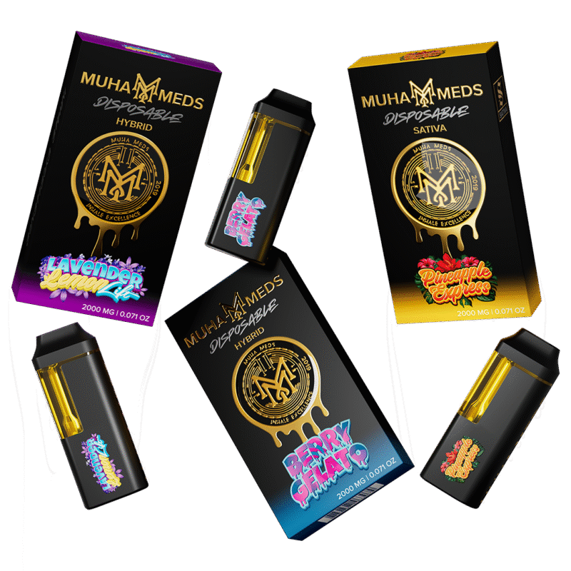 Muha Meds 2G Distilate Disposable
